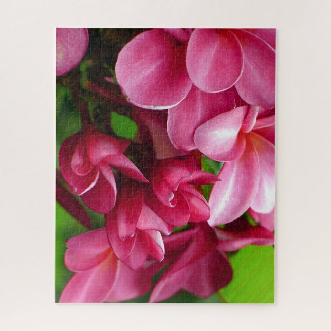 Puzzle Foto de flor de plumeria rosa (Vertical)