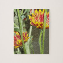 Foto De Flor De Visita