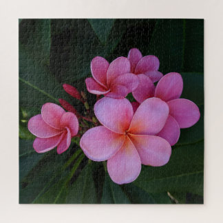 Puzzle Foto de flor hawaiana Plumeria rosa