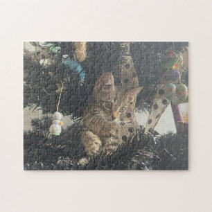 Puzzle Foto de gatito animal mascota gato