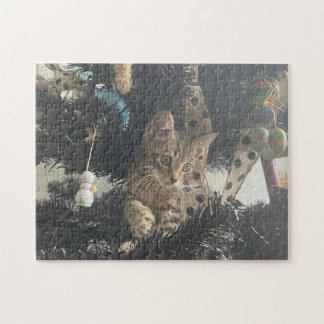 Puzzle Foto de gatito animal mascota gato