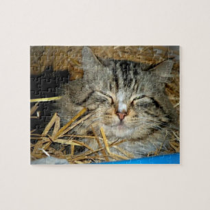 Puzzle Foto de gatito durmiendo