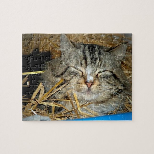 Puzzle Foto de gatito durmiendo  (Horizontal)