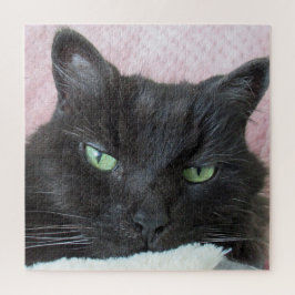 Puzzle Foto de gato
