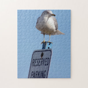 Puzzle Foto de Gaviota