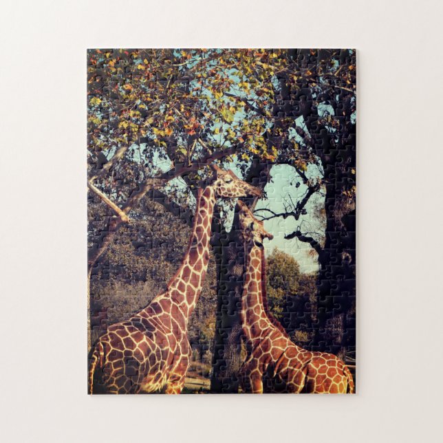Puzzle Foto de Giraffe (Vertical)