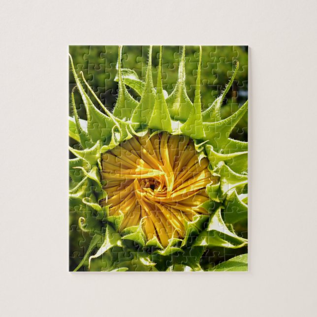 Puzzle Foto de girasol (Vertical)