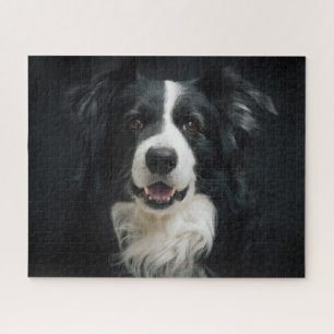 Puzzle Foto de hermoso perro Border Collie negro y blanco