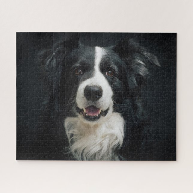 Puzzle Foto de hermoso perro Border Collie negro y blanco (Horizontal)