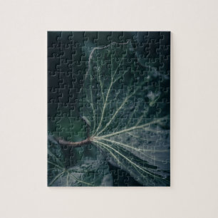 Puzzle Foto de Ivy Leaf Nature
