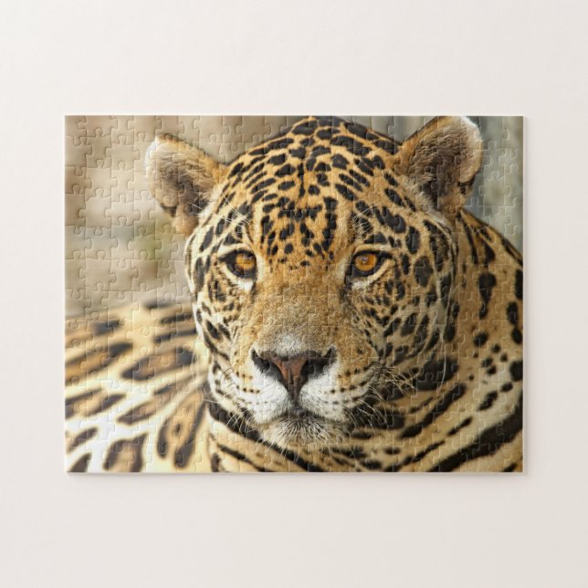 Puzzle Foto de Jaguar (Horizontal)