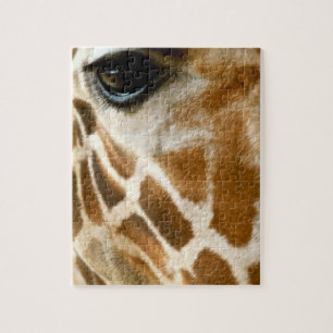 Puzzle Foto de la naturaleza de animales salvajes de la