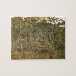 Puzzle Foto de la naturaleza de la shell de Tortoise