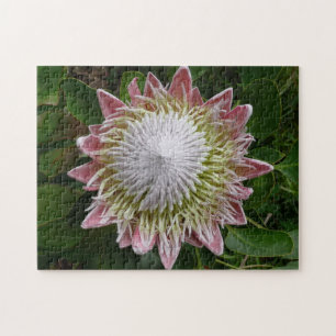 Puzzle Foto de la naturaleza de las flores rosadas y blan