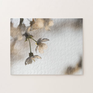 Puzzle Foto de la naturaleza del árbol de cerezo blanco e
