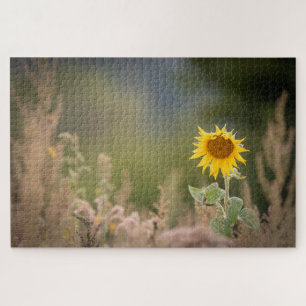 Puzzle Foto de la naturaleza del girasol