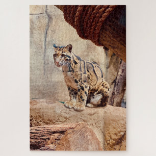 Puzzle foto de leopardo nebuloso naturaleza vida silvestr