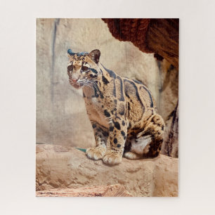 Puzzle foto de leopardo nebuloso naturaleza vida silvestr
