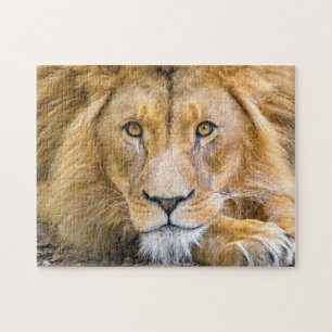 Puzzle Foto de Lion Face