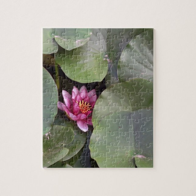 Puzzle Foto de Lotus Flower (Vertical)