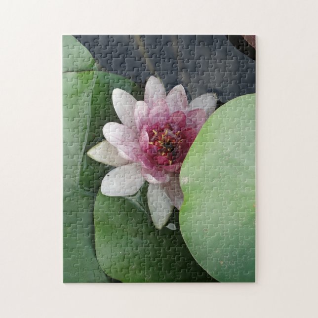 Puzzle Foto de Lotus Flower (Vertical)