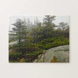 Puzzle Foto de Maine Pine Boulders Acadia