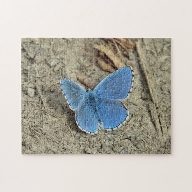 Puzzle Foto de mariposa azul de bonito (Horizontal)