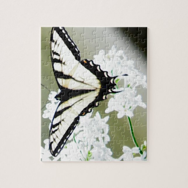 Puzzle Foto de mariposa de cola Swallowtail de tigre orie (Vertical)