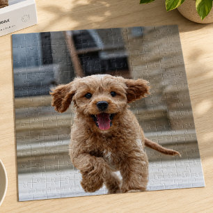 Puzzle Foto de mascota Subir imagen Perro adorable y li