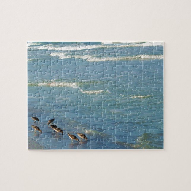 Puzzle Foto de moda de Florida Shorebirds Ocean Waves (Horizontal)