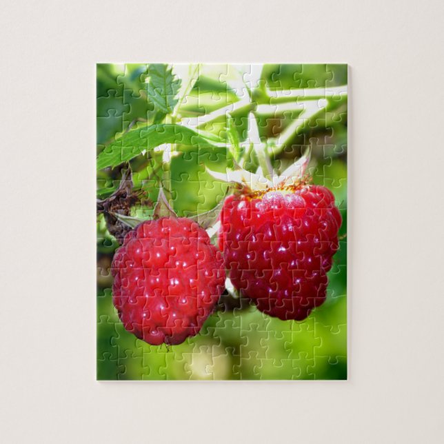 Puzzle Foto de moras frescas frambuesas fruta (Vertical)
