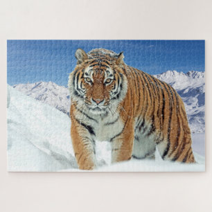 Puzzle Foto de naturaleza animal del Tigre de Nieve