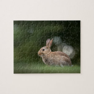 Puzzle Foto de naturaleza de conejo pequeño
