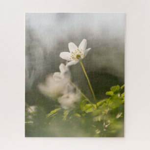 Puzzle Foto de naturaleza de flor blanca