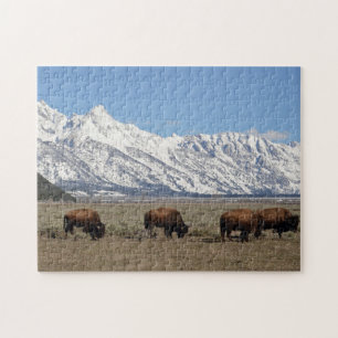 Puzzle Foto de nieve de las montañas Wildlife Bison
