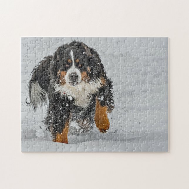 Puzzle Foto de Nieve de Perro de Montaña de Bernese (Horizontal)