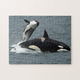 Puzzle Foto de Orca del Asesino de Alaska