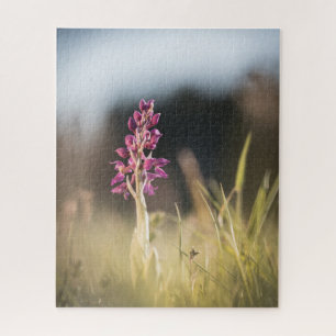 Puzzle Foto de orquídea silvestre en la naturaleza