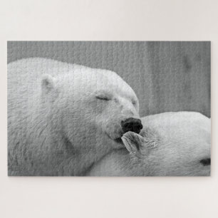 Puzzle Foto de osos polares grises