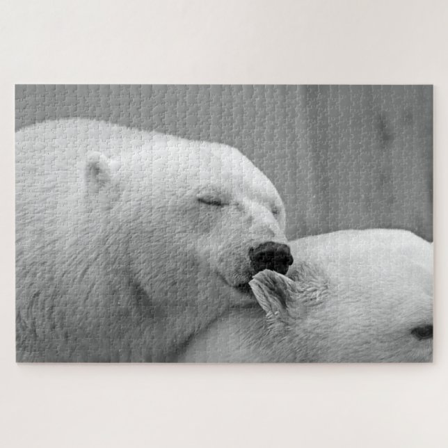 Puzzle Foto de osos polares grises (Horizontal)