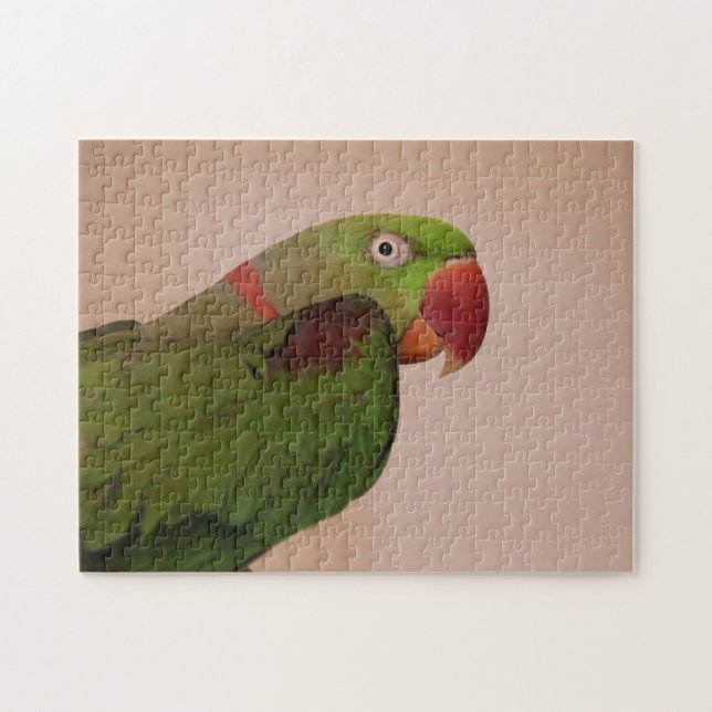 Puzzle Foto de Parakeet de anillo Rosa Difícil rompecabez (Horizontal)