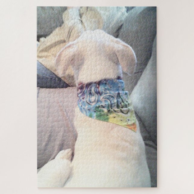Puzzle Foto de perro blanco lindo con bufanda colorida (Vertical)
