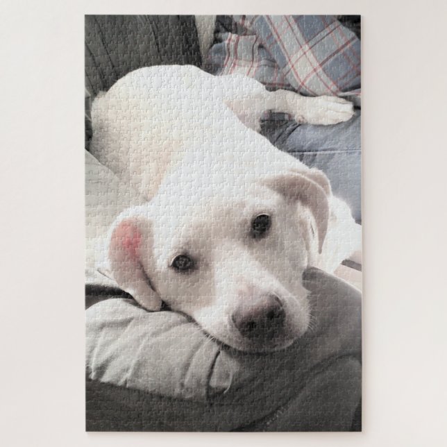 Puzzle Foto de perro blanco lindo con papá en el sofá (Vertical)