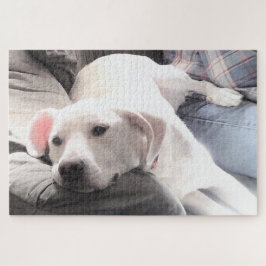 Puzzle Foto de Perro blanco tierno colgando con papá