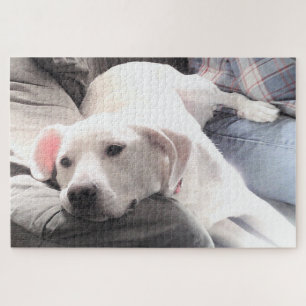 Puzzle Foto de Perro blanco tierno colgando con papá