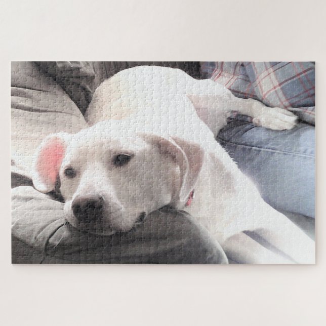 Puzzle Foto de Perro blanco tierno colgando con papá (Horizontal)