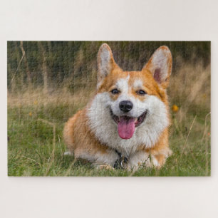 Puzzle Foto de perro de corgi lindo