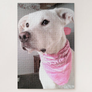 Puzzle Foto de perro tímido de cachorro blanco con bufand