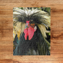 Puzzle Foto de pollo de pelo malo