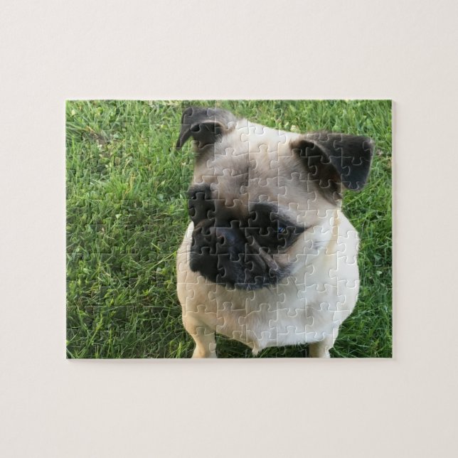 Puzzle Foto de Pug Puppy (Horizontal)